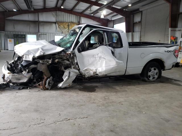 FORD F150 SUPER 2010 with VIN 1FTEX1E83AFC31401 - Photo from auction