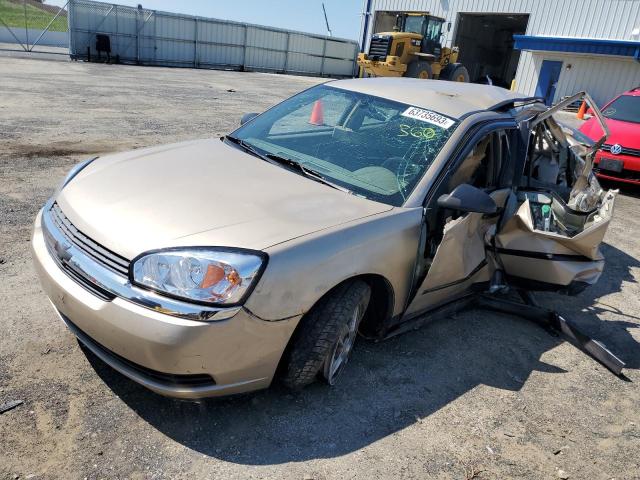 CHEVROLET MALIBU LS 2005 with VIN 1G1ZT54865F143804 - Photo from auction
