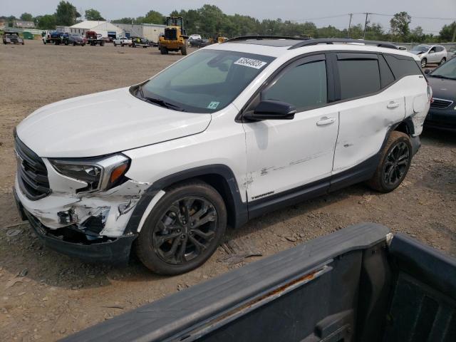 GMC TERRAIN SL 2020 with VIN 3GKALTEV4LL212946 - Photo from auction