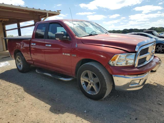 Photo 4 from auction – 2010 DODGE RAM 1500 with VIN 1D7RB1GT9AS249917