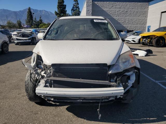 Photo 5 from auction – 2007 HONDA CR-V EXL with VIN JHLRE48787C013785