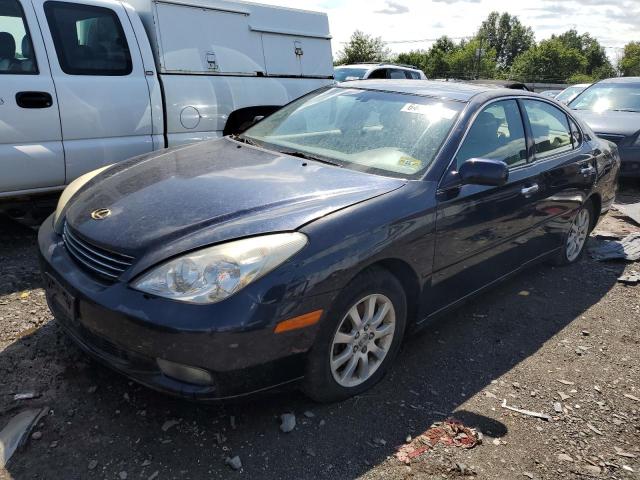 LEXUS ES 330 2004 with VIN JTHBA30G040010360 - Photo from auction