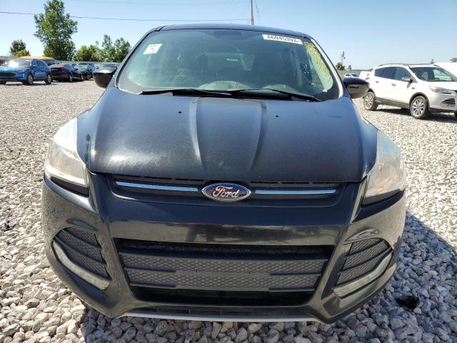 Photo 5 from auction – 2014 FORD ESCAPE SE with VIN 1FMCU0GX4EUA95291