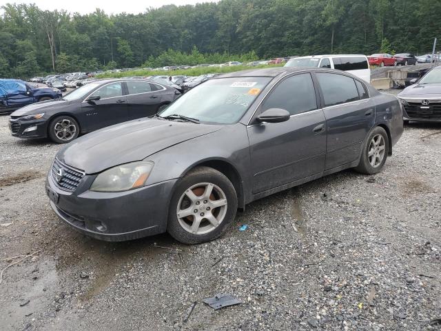 NISSAN ALTIMA S 2005 with VIN 1N4AL11E05C253505 - Photo from auction