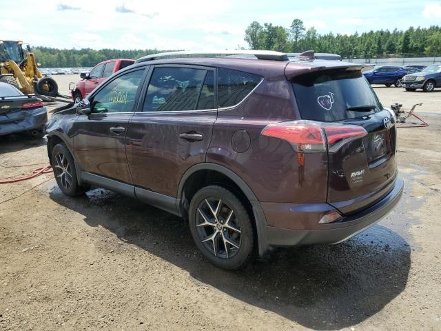 Photo 2 from auction – 2017 TOYOTA RAV4 SE with VIN 2T3NFREV5HW338093