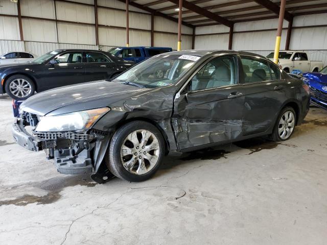 HONDA ACCORD EX 2010 with VIN 1HGCP2F75AA000243 - Photo from auction