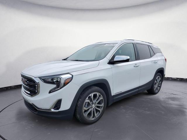 GMC TERRAIN SL 2019 with VIN 3GKALPEV3KL307570 - Photo from auction