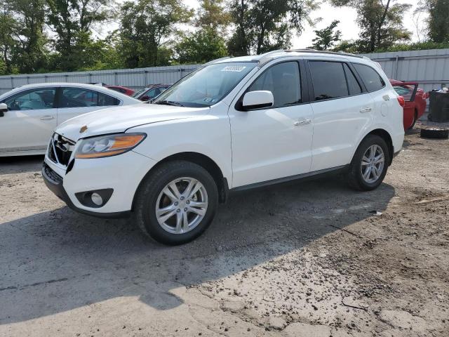 HYUNDAI SANTA FE L 2010 with VIN 5NMSKDAGXAH366183 - Photo from auction