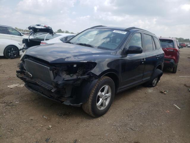 HYUNDAI SANTA FE G 2008 with VIN 5NMSG13D58H143465 - Photo from auction