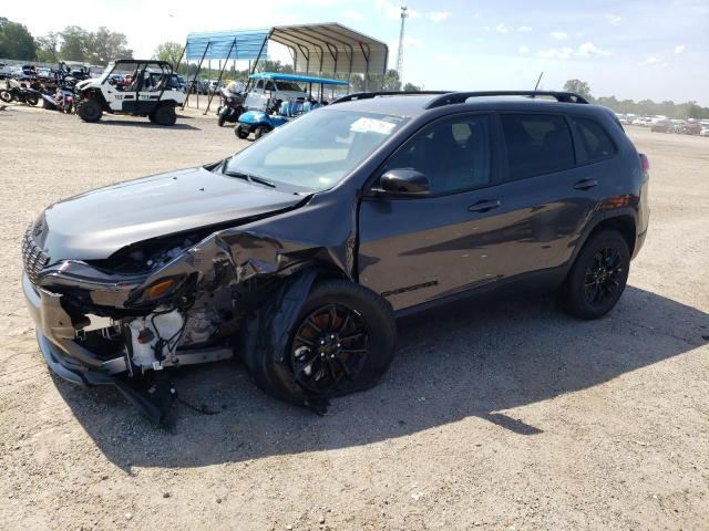 JEEP CHEROKEE A 2023 with VIN 1C4PJMMB9PD114354 - Photo from auction