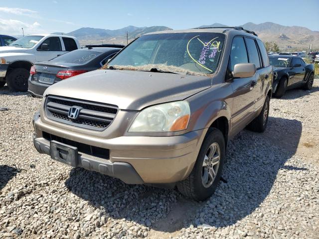 HONDA PILOT EX 2003 with VIN 2HKYF18463H519284 - Photo from auction