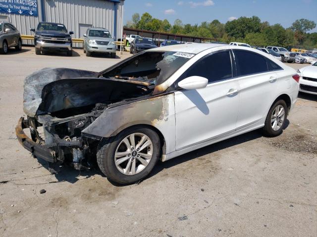 HYUNDAI SONATA GLS 2011 with VIN 5NPEB4AC2BH017517 - Photo from auction
