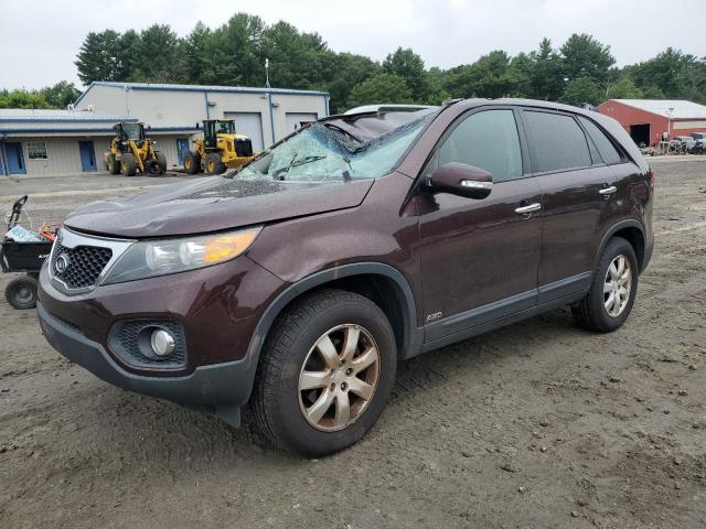 KIA SORENTO BA 2011 with VIN 5XYKTCA15BG156234 - Photo from auction
