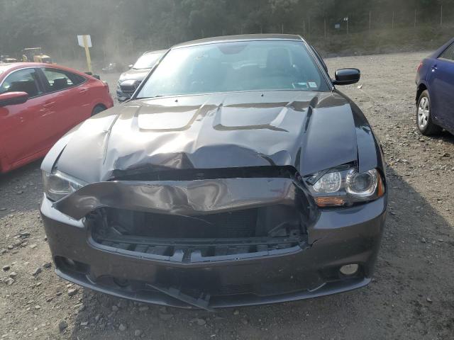 Photo 5 from auction – 2014 DODGE CHARGER R/ with VIN 2C3CDXDT8EH296407