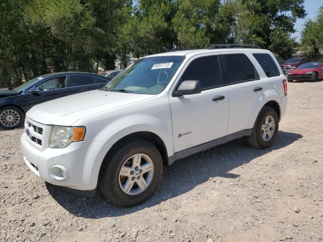 FORD ESCAPE HYB 2009 with VIN 1FMCU49309KC39101 - Photo from auction