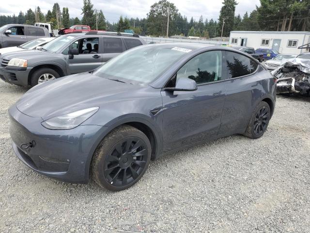 TESLA MODEL Y 2023 with VIN 7SAYGDEE2PF591344 - Photo from auction