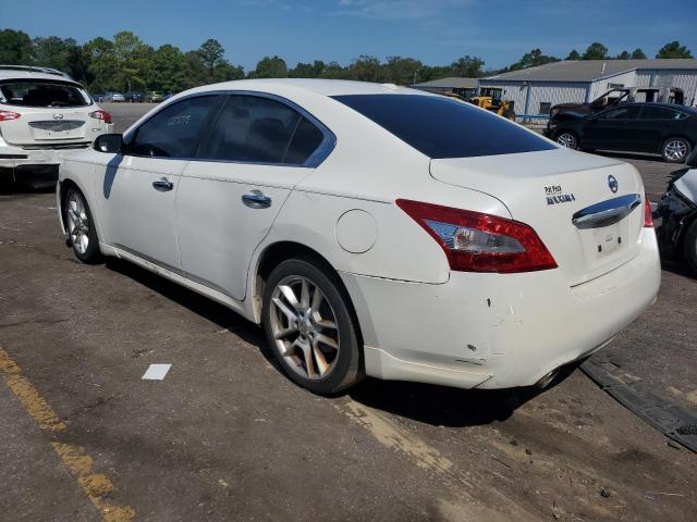 Снимка 2 от търг – 2011 NISSAN MAXIMA S с VIN 1N4AA5AP5BC855617
