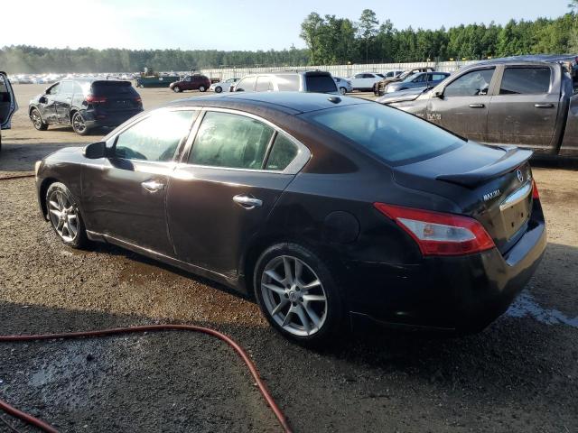 Photo 2 from auction – 2010 NISSAN MAXIMA S with VIN 1N4AA5AP5AC852912