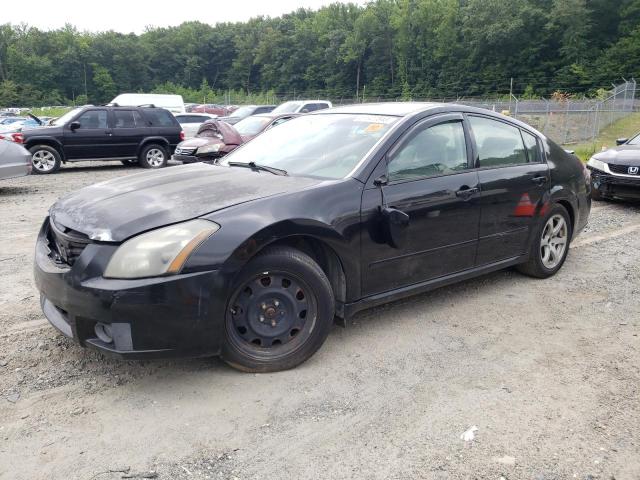 NISSAN MAXIMA SE 2008 with VIN 1N4BA41E18C800457 - Photo from auction