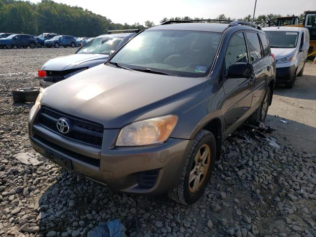 TOYOTA RAV4 2012 with VIN 2T3BF4DVXCW225496 - Photo from auction