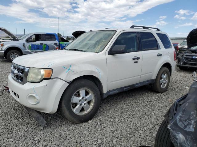 FORD ESCAPE XLT 2009 with VIN 1FMCU93G89KA12649 - Photo from auction