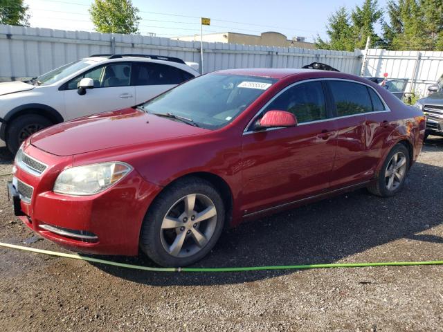 Photo 1 from auction – 2009 CHEVROLET MALIBU 2LT with VIN 1G1ZJ57B79F144043