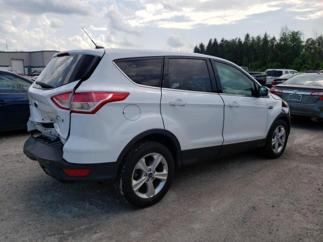 Photo 3 from auction – 2014 FORD ESCAPE SE with VIN 1FMCU0GX4EUA98806
