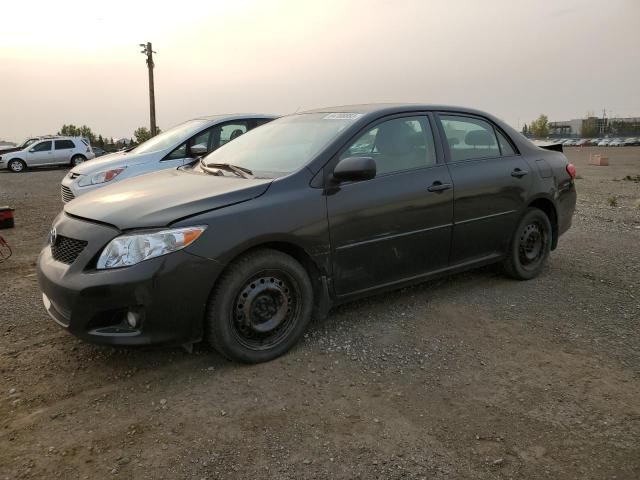 TOYOTA COROLLA BA 2010 with VIN 2T1BU4EE2AC203858 - Photo from auction