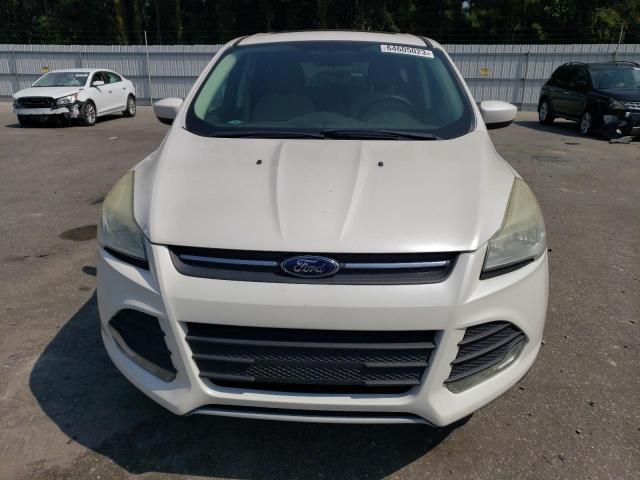 Photo 5 from auction – 2014 FORD ESCAPE SE with VIN 1FMCU0GXXEUA10440