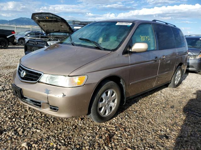 HONDA ODYSSEY EX 2003 with VIN 5FNRL18093B124279 - Photo from auction