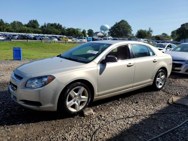 CHEVROLET MALIBU LS 2012 with VIN 1G1ZB5E01CF150460 - Photo from auction