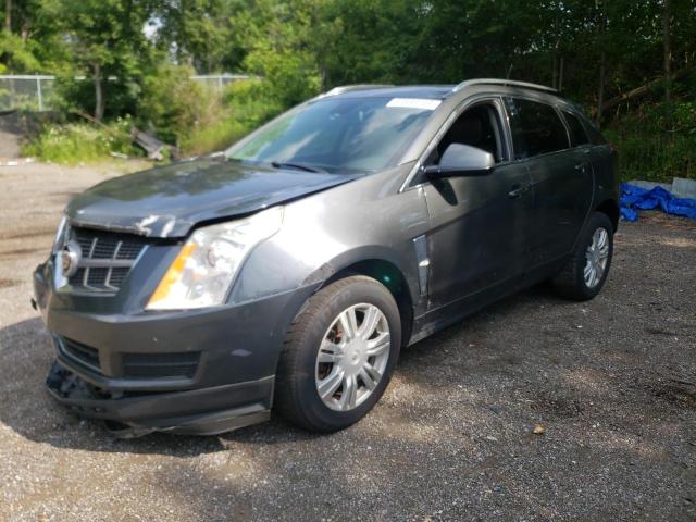 CADILLAC SRX LUXURY 2011 with VIN 3GYFNDEY1BS563355 - Photo from auction