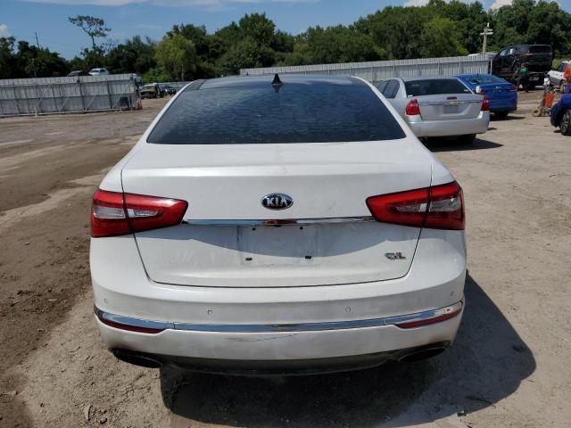 Photo 6 from auction – 2014 KIA CADENZA PR with VIN KNALN4D78E5147994