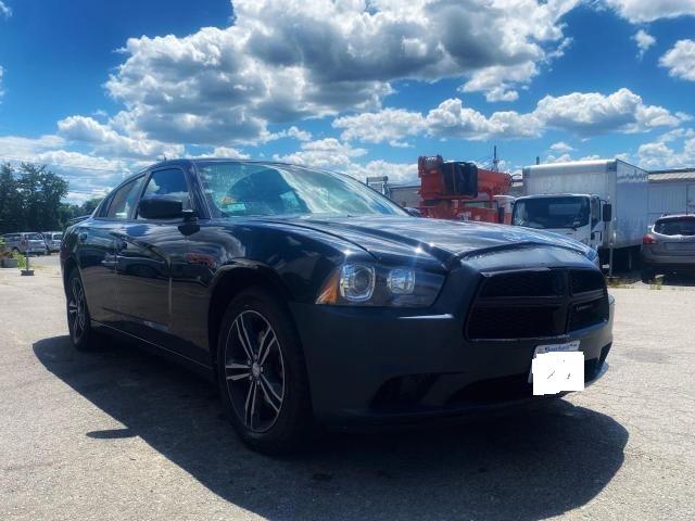 DODGE CHARGER SX 2014 with VIN 2C3CDXJG8EH262829 - Photo from auction