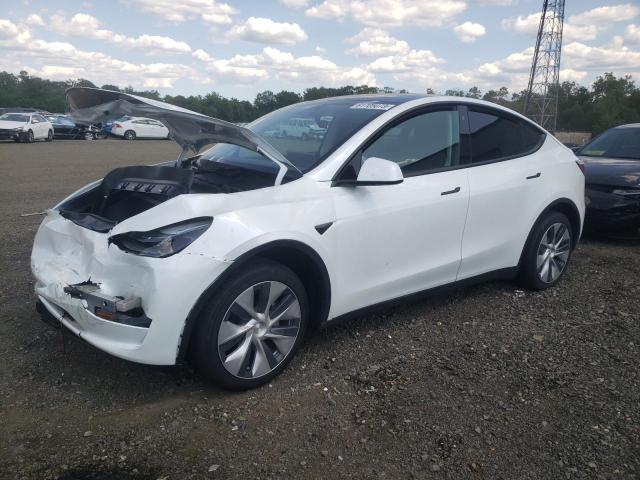 TESLA MODEL Y 2023 with VIN 7SAYGDEE9PF662913 - Photo from auction