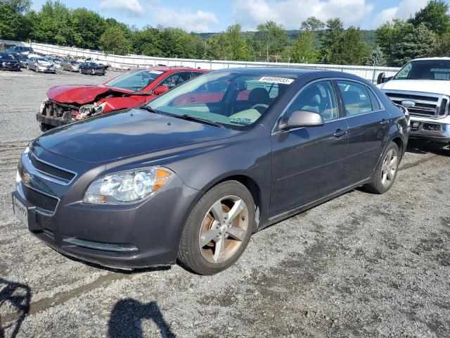 CHEVROLET MALIBU 1LT 2011 with VIN 1G1ZC5E14BF269799 - Photo from auction