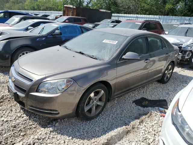 CHEVROLET MALIBU 1LT 2011 with VIN 1G1ZC5EU4BF327081 - Photo from auction