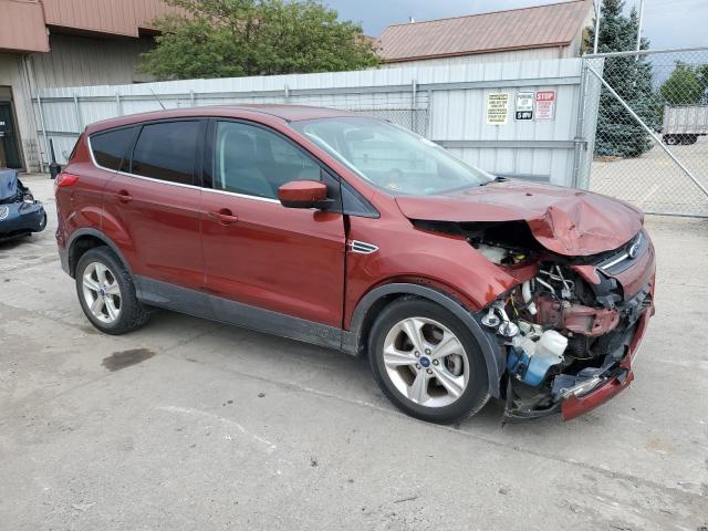 Photo 4 from auction – 2014 FORD ESCAPE SE with VIN 1FMCU0GX9EUC75172