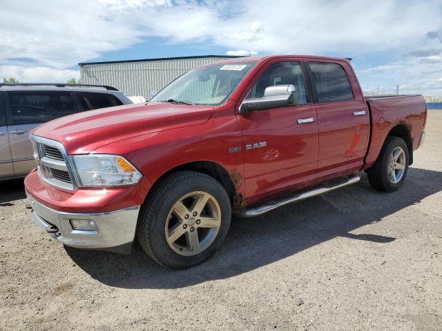 DODGE RAM 1500 2010 with VIN 1D7RV1CT8AS254166 - Photo from auction