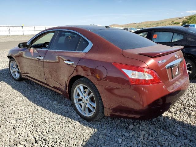 Photo 2 from auction – 2010 NISSAN MAXIMA S with VIN 1N4AA5AP5AC826438