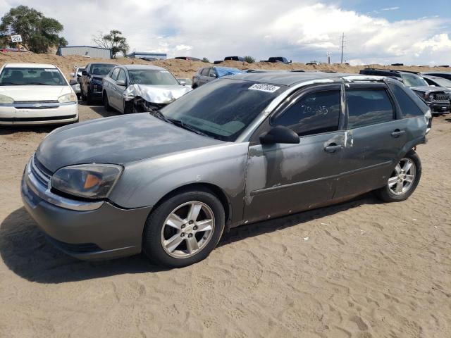 CHEVROLET MALIBU MAX 2005 with VIN 1G1ZT62895F122051 - Photo from auction