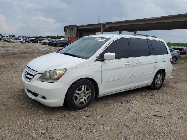 HONDA ODYSSEY EX 2007 with VIN 5FNRL38497B430029 - Photo from auction