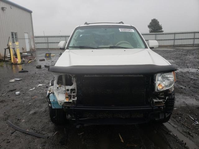 Photo 5 from auction – 2010 FORD ESCAPE LIM with VIN 1FMCU9E74AKC72371