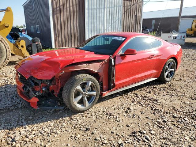 FORD MUSTANG 2016 with VIN 1FA6P8AM8G5334186 - Photo from auction