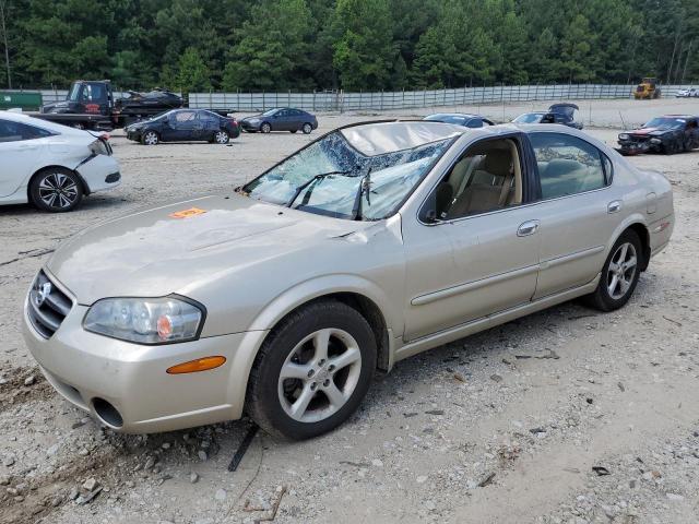 NISSAN MAXIMA GLE 2002 with VIN JN1DA31D02T445974 - Photo from auction
