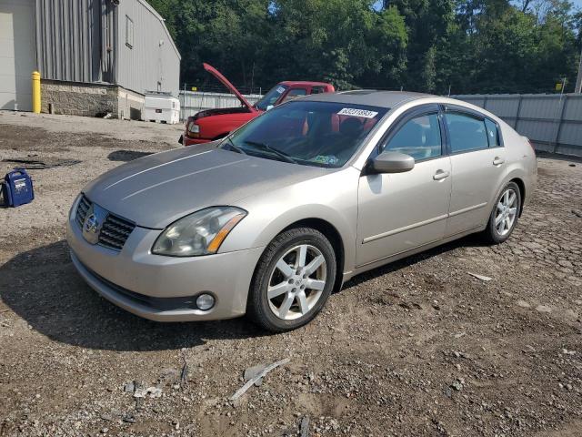 NISSAN MAXIMA SE 2004 with VIN 1N4BA41E14C923752 - Photo from auction