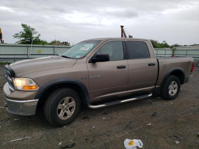 DODGE RAM 1500 2009 with VIN 1D3HV13T19S762035 - Photo from auction