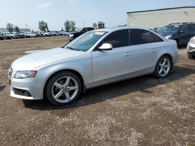 AUDI A4 PREMIUM 2011 with VIN WAUFFCFL8BN028031 - Photo from auction