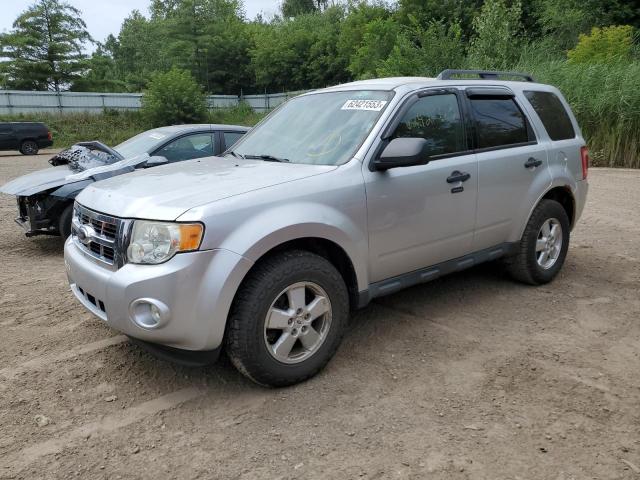 FORD ESCAPE XLT 2010 with VIN 1FMCU0DGXAKB92599 - Photo from auction