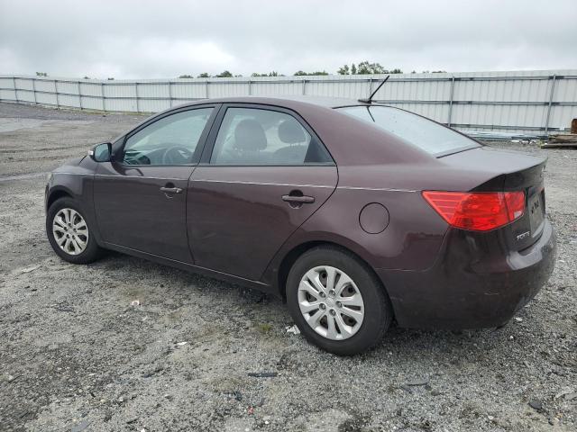 Photo 2 from auction – 2010 KIA FORTE EX with VIN KNAFU4A2XA5809710